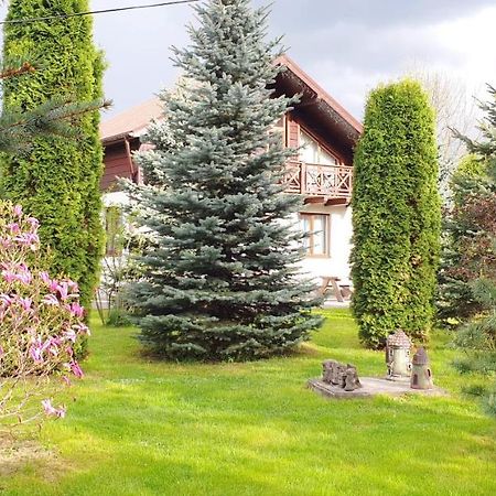 Chalet Gorgan Villa Микуличин Екстериор снимка